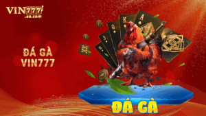 Trang chủ 6 Đá gà VIN777